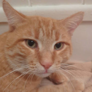 Meet your Posher, Salma